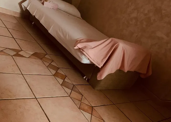 La Candida Rosa L T Anagni